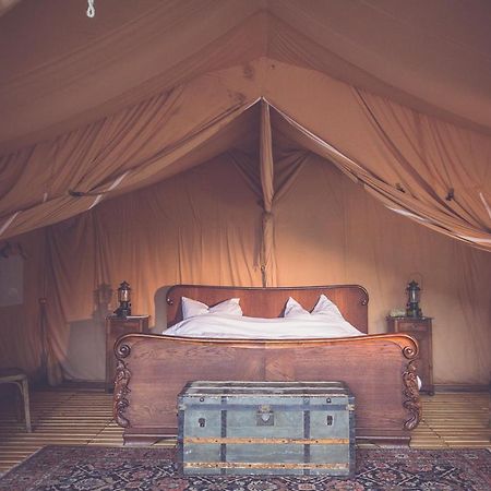 فندق Moselglamping ترابن ترارباخ المظهر الخارجي الصورة